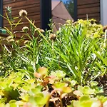 Holiday home Maison Eco-concue Pres De Sarlat, 7 Pers, Wifi, Animaux Ok - Fr-1-828-11 Souillac