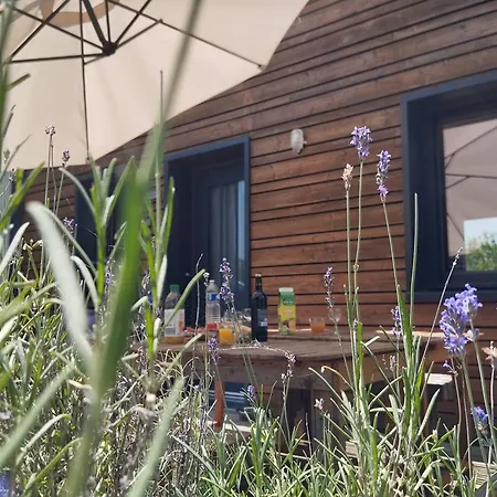 Maison Eco-concue Pres De Sarlat, 7 Pers, Wifi, Animaux Ok - Fr-1-828-11 * 수일락