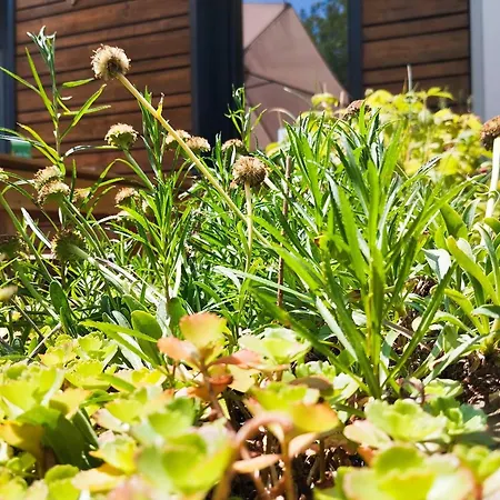 Prázdninový dům Maison Eco-concue Pres De Sarlat, 7 Pers, Wifi, Animaux Ok - Fr-1-828-11 Souillac