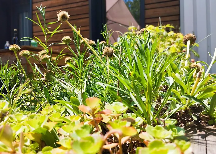 펜션 Maison Eco-concue Pres De Sarlat, 7 Pers, Wifi, Animaux Ok - Fr-1-828-11 수일락